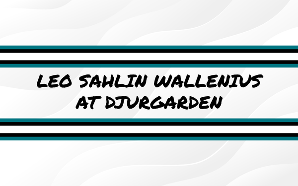 Leo Sahlin Wallenius at Djurgården 1/15/2026